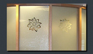 Privacy Vinyl on Windows
