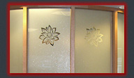 Privacy Vinyl on Windows