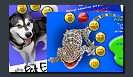 NH Pet Expo web site