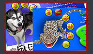 NH Pet Expo web site